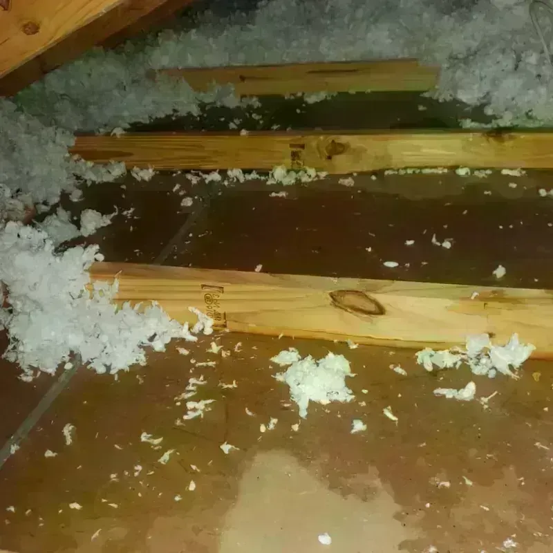 Attic Water Damage in Richwood, WV